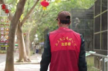 非法捕获35只小鸟，没有偿还能力怎么办？｜案“鉴”
