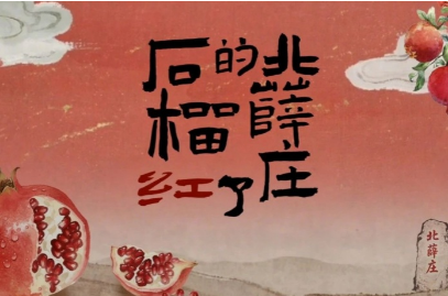 【微视频】北薛庄的石榴红了