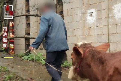 司法温度 护“牛”暖心｜案“鉴”