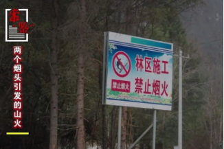 两个烟头引发的山火｜案“鉴”